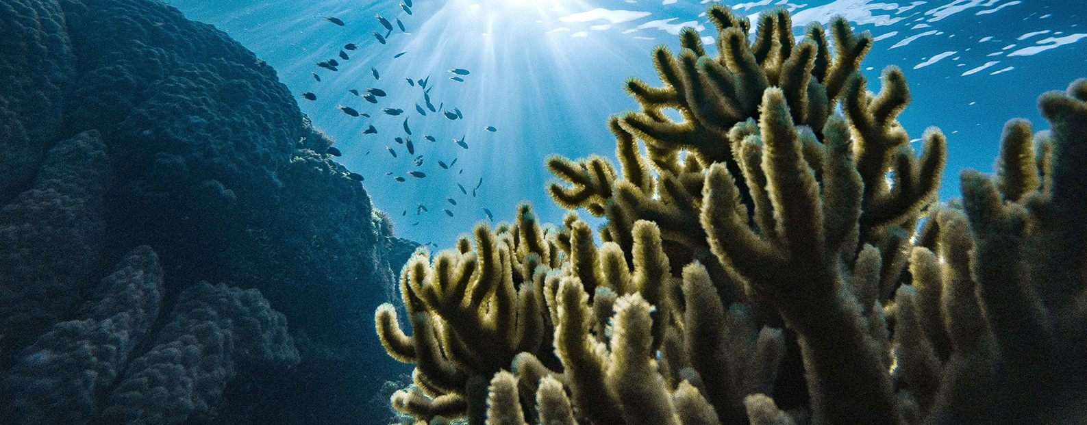 三達(dá)膜中水回用、陶瓷膜、石墨烯膜、黑金膜公眾號(hào)，歡迎您掃碼關(guān)注！